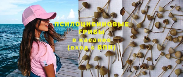 гидропоника Грязи