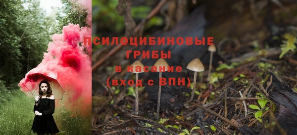 сатива Пролетарск