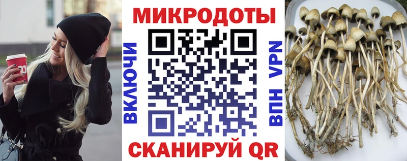 Псилоцибиновые грибы мухоморы  KRAKEN ТОР  Лениногорск  закладка 