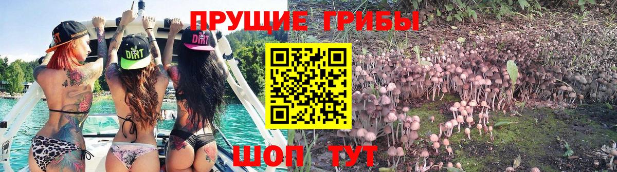 Галлюциногенные грибы MAGIC MUSHROOMS  Галлюциногенные грибы мицелий  Лениногорск 