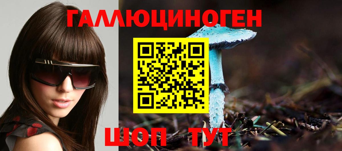 Лениногорск  цены   Вход с VPN  Псилоцибиновые грибы Psilocybine cubensis 